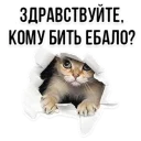 😂