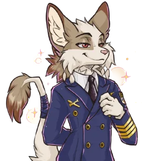 👨‍✈️