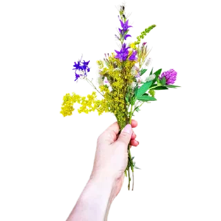 🌾