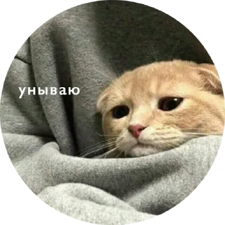 😔