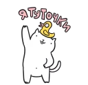 🙋