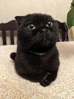 😋