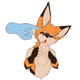 🦊