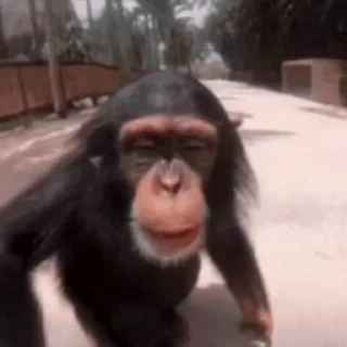 💋