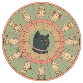 ✨