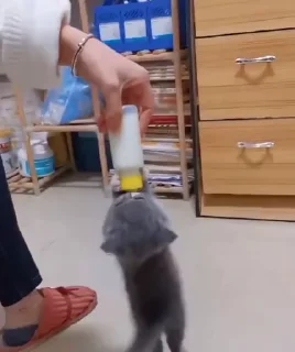 🍼