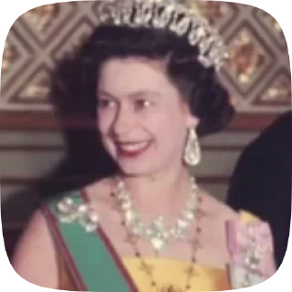 👑