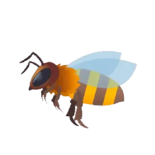 🐝