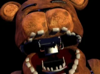 🐻