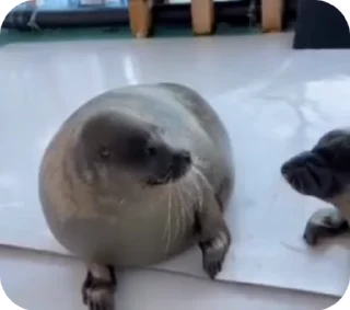 😚