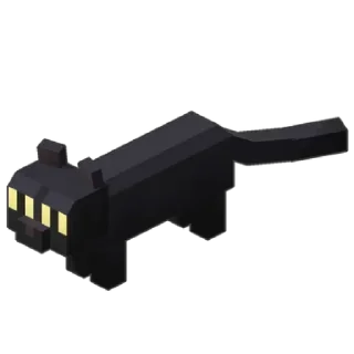 🐈‍⬛