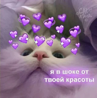 💜