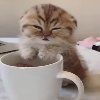 🥱
