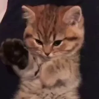 🖐️