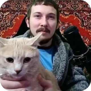 🐱