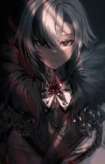 🫀