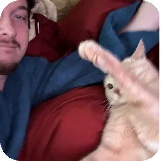 🐱