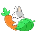 😴