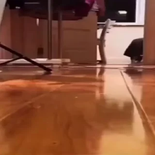 🤪