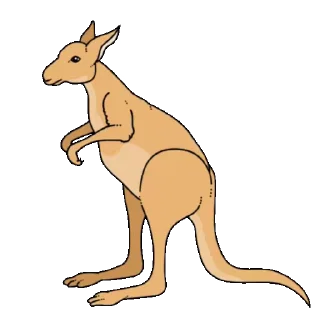 🦘