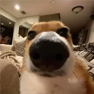 😐