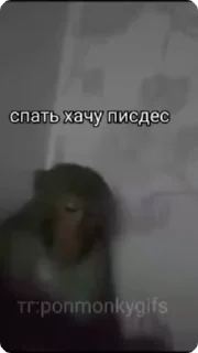 😴