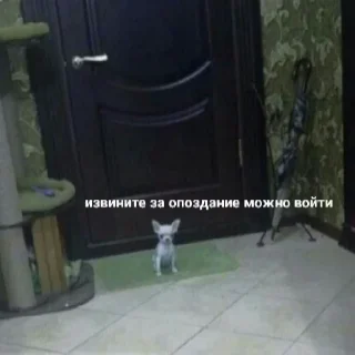 🥺
