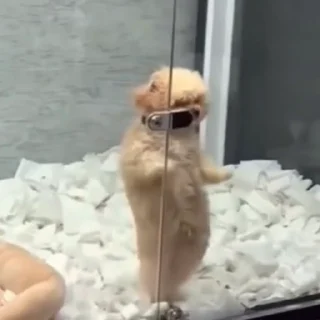 🕺