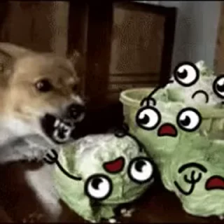 😁