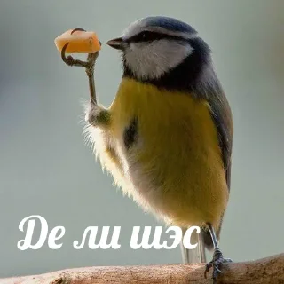 😋