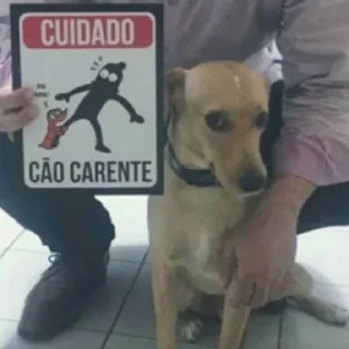 🐕‍🦺