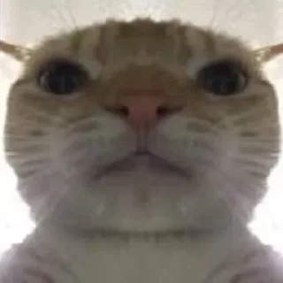 😄