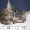 😔