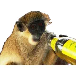 🍺
