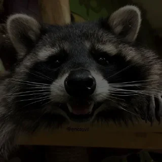 📖