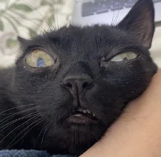 😠