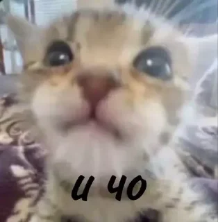 🪦