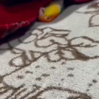 🤩