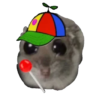 🧢