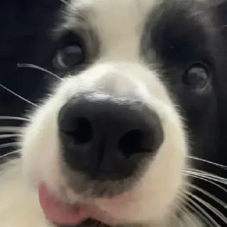 🤪