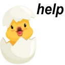🐥