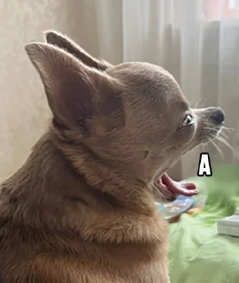 😩