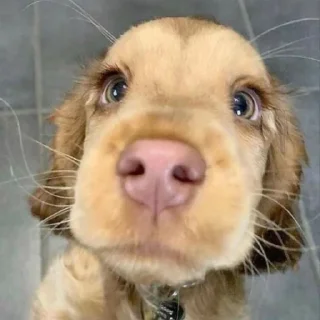 🙁