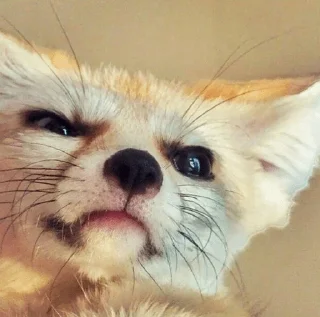 😐