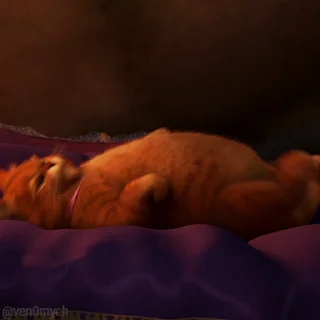 😺
