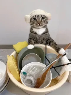 🌟