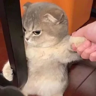 🤨