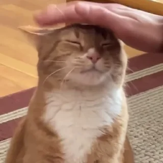 👍