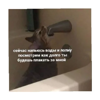 😒