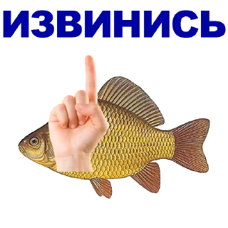 🐠